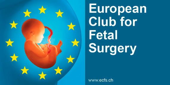6. ECFS-Workshop